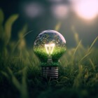CO2-Zertifikat,Emissionshandel,Grüne Glühbirne,Decarbonisierung